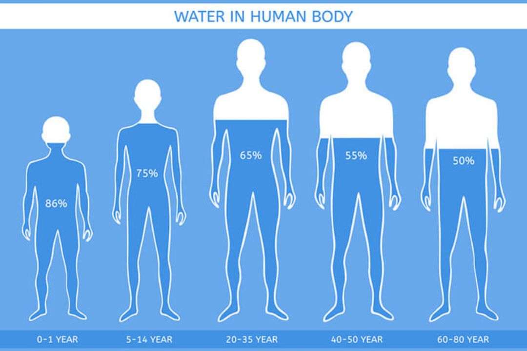 70% cơ thể là nước